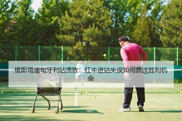 维斯塔潘匈牙利站溃败：红牛进站失误如何葬送胜利机会